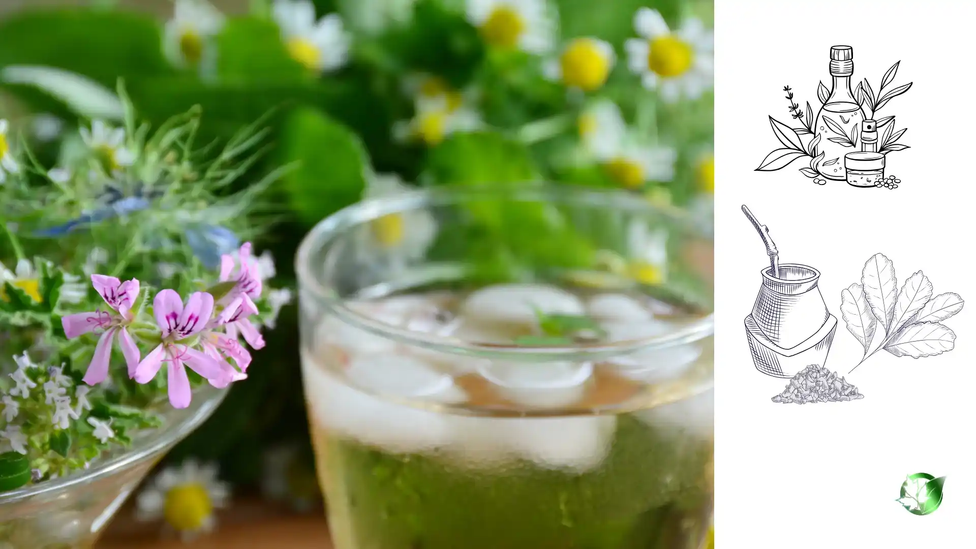 Herbal Distillates quality, format, and packaging should be matched to the buyer’s target application.